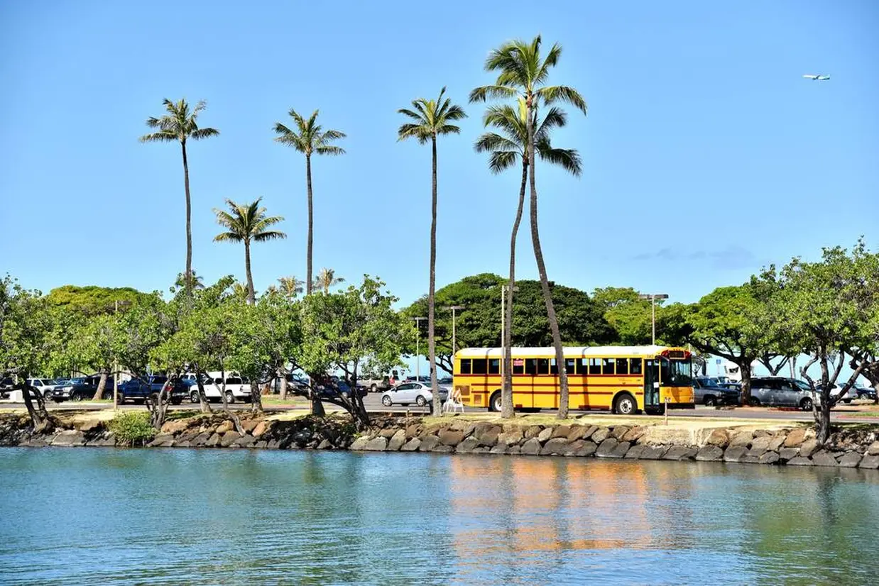 TheBus