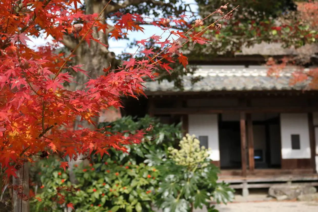 九年庵