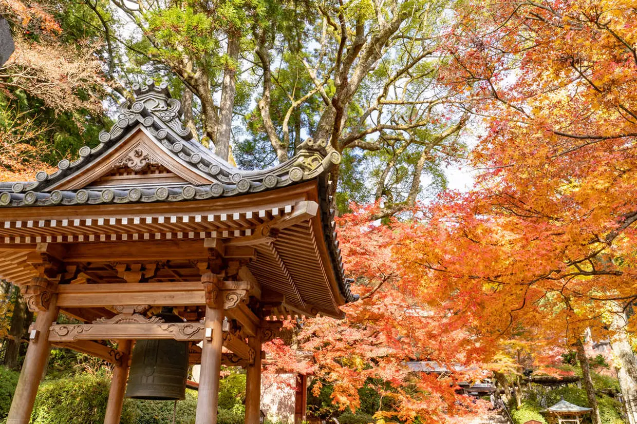 大興善寺