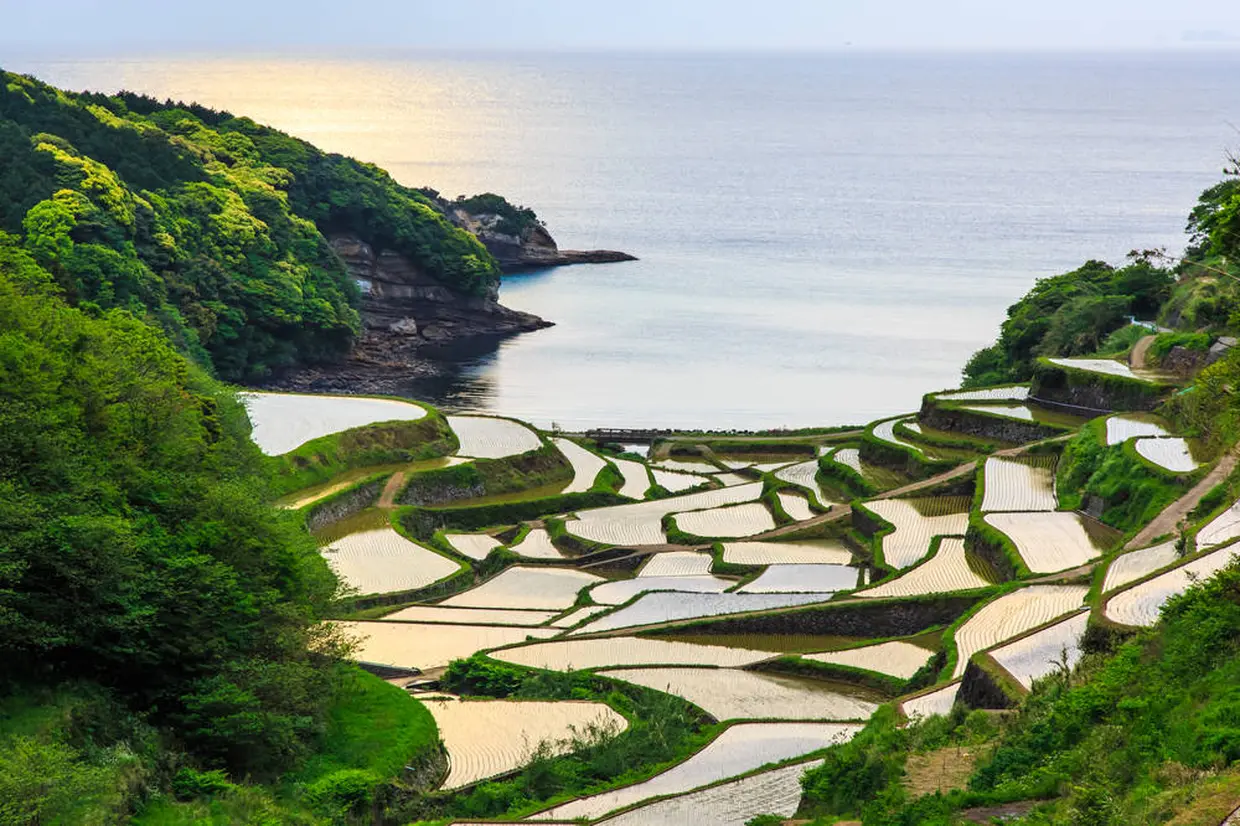 浜野浦の棚田