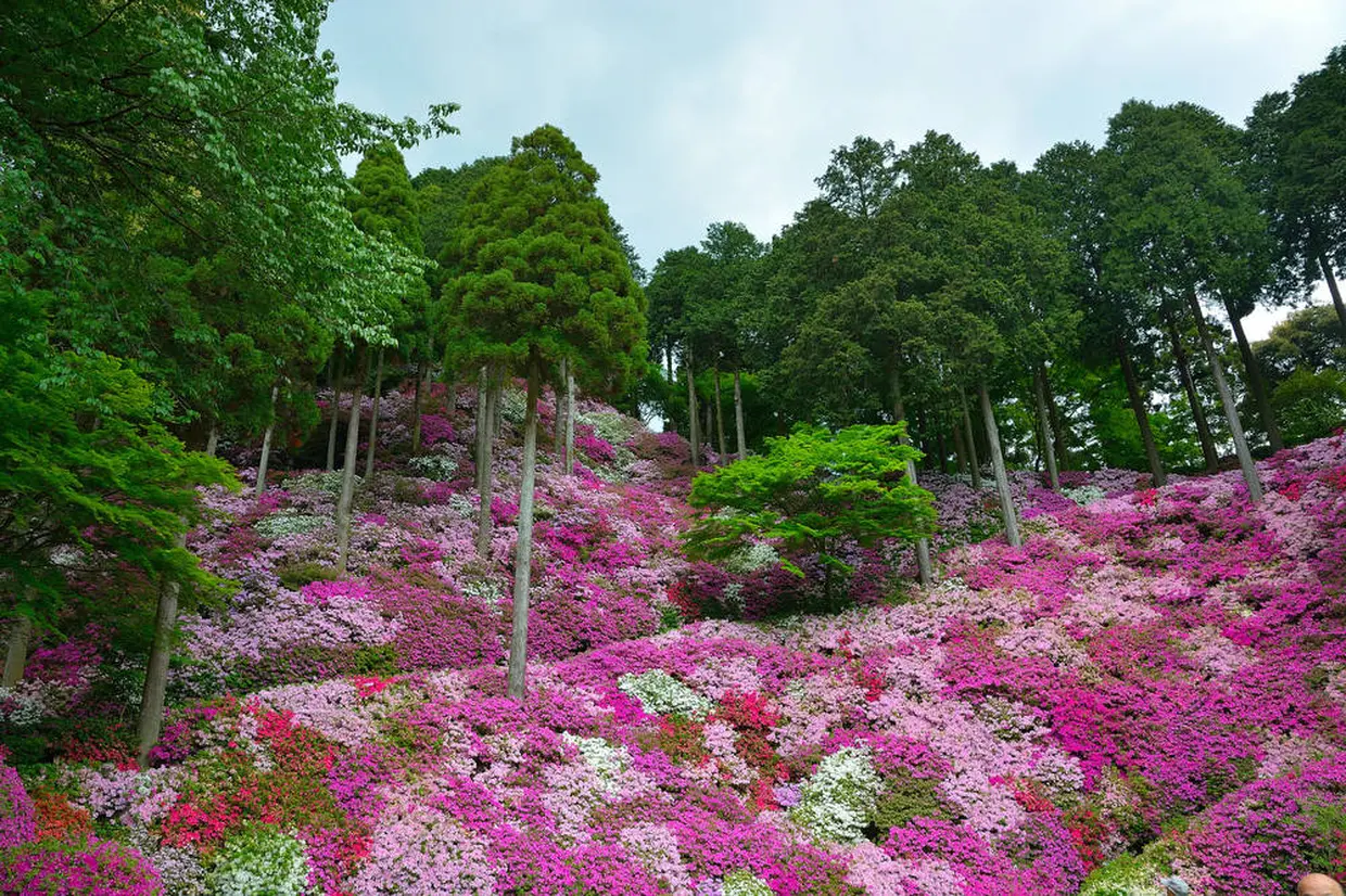 大興善寺