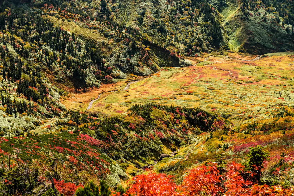白山