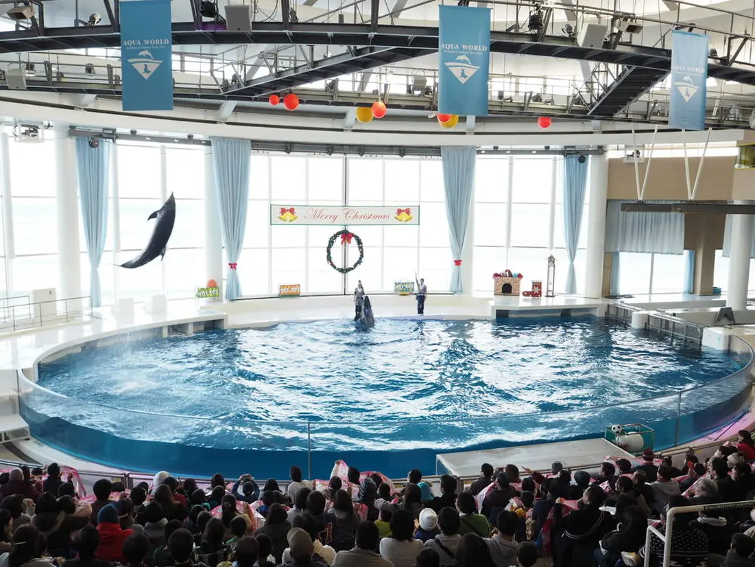 アクアワールド茨城県大洗水族館