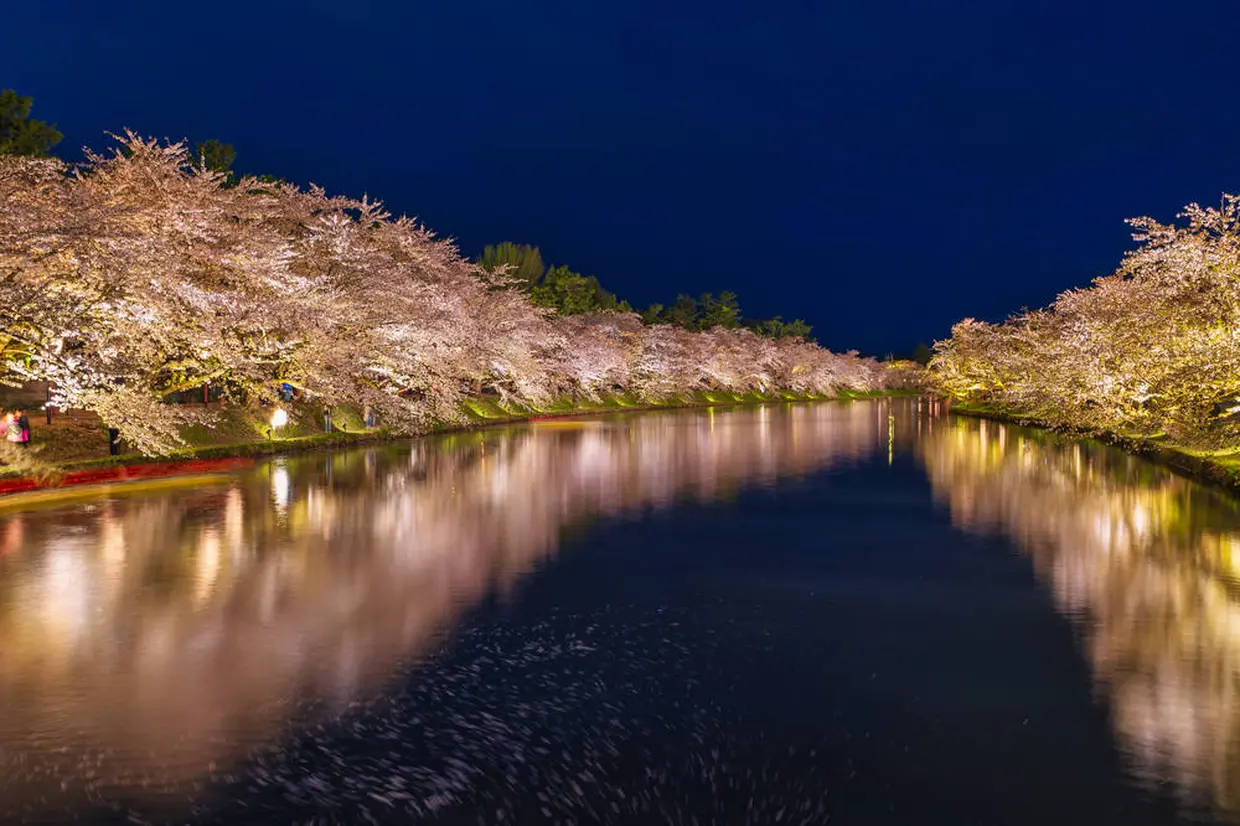 弘前公園内のさくら祭り