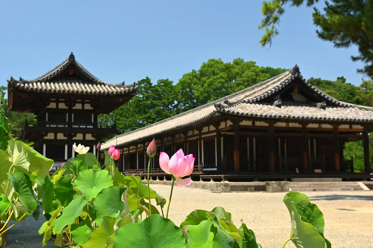 唐招提寺