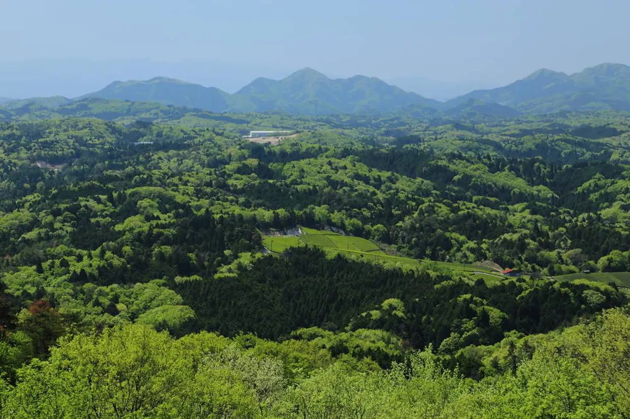 フォレストパーク神野山