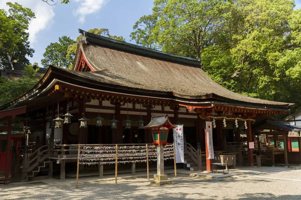 天理・桜井エリア