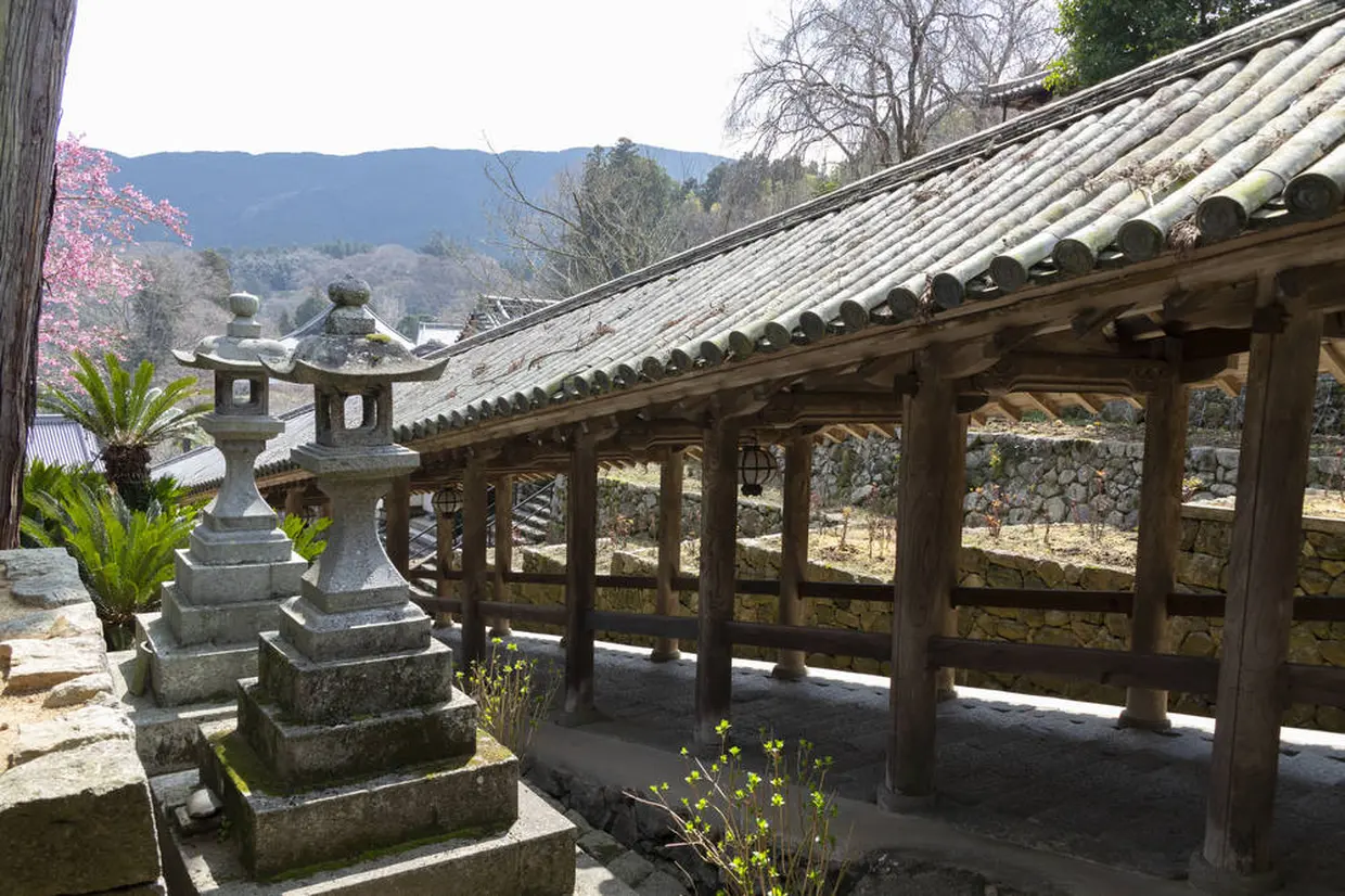 長谷寺