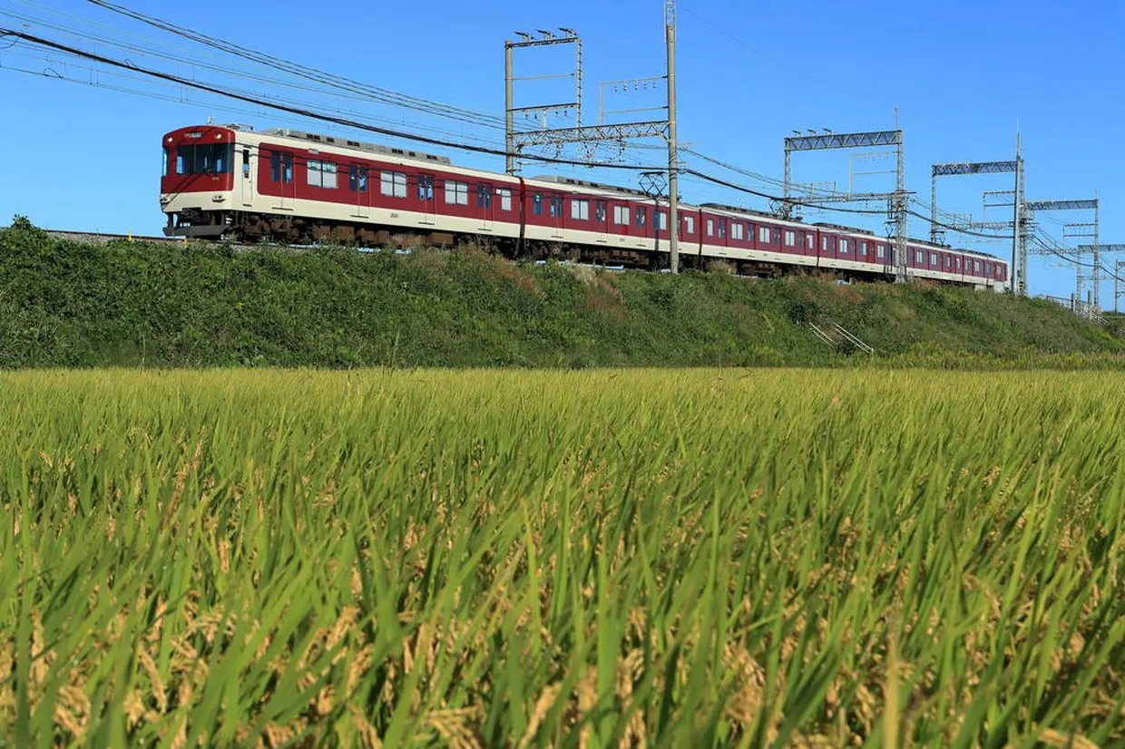 橿原・葛城エリア