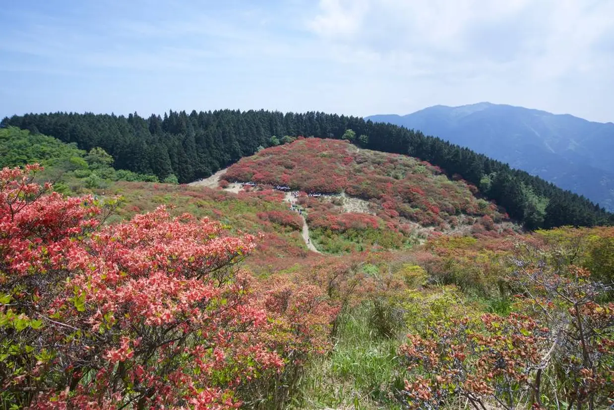 大和葛城山