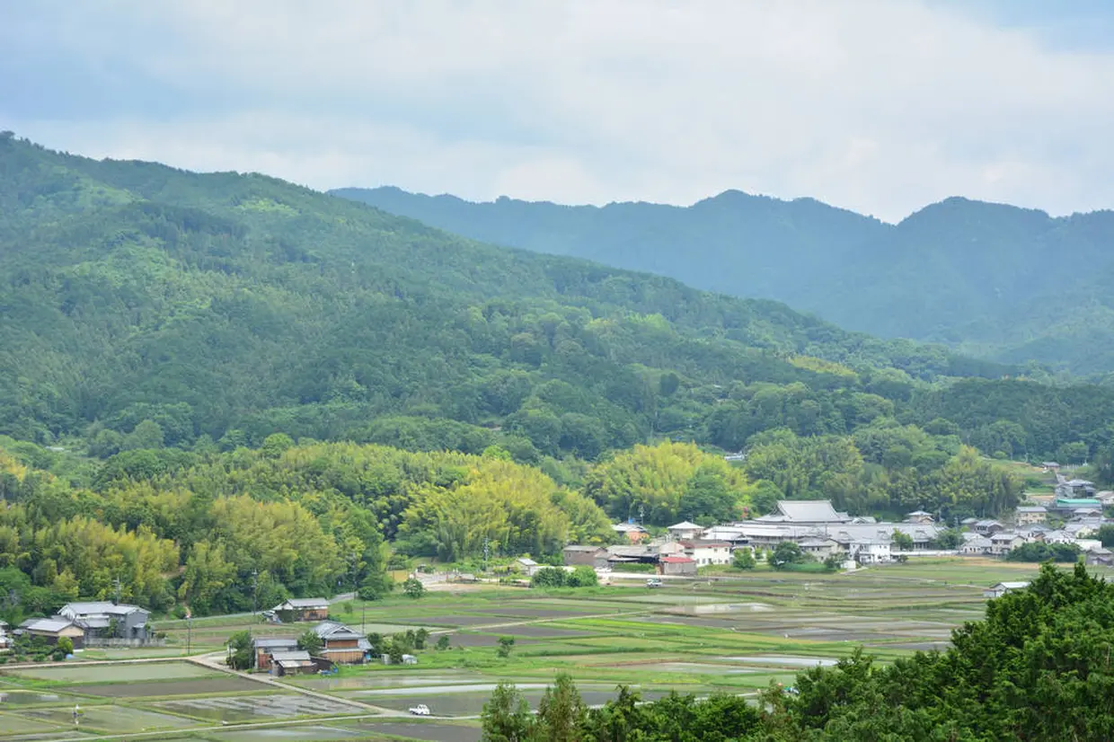 甘樫丘