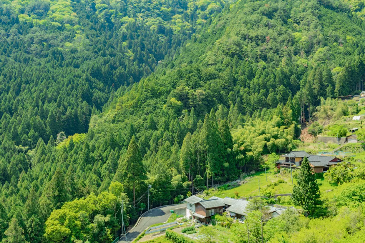 十津川エリア