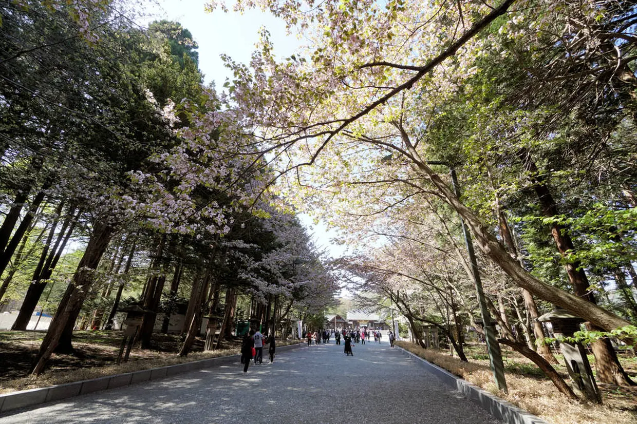円山公園