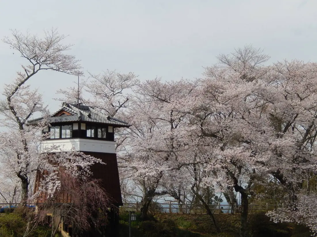 大田原城跡（龍城公園）