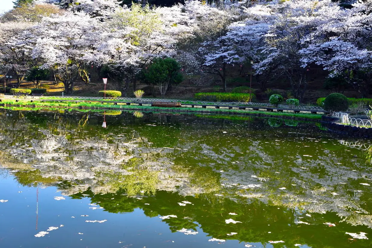 烏ヶ森公園