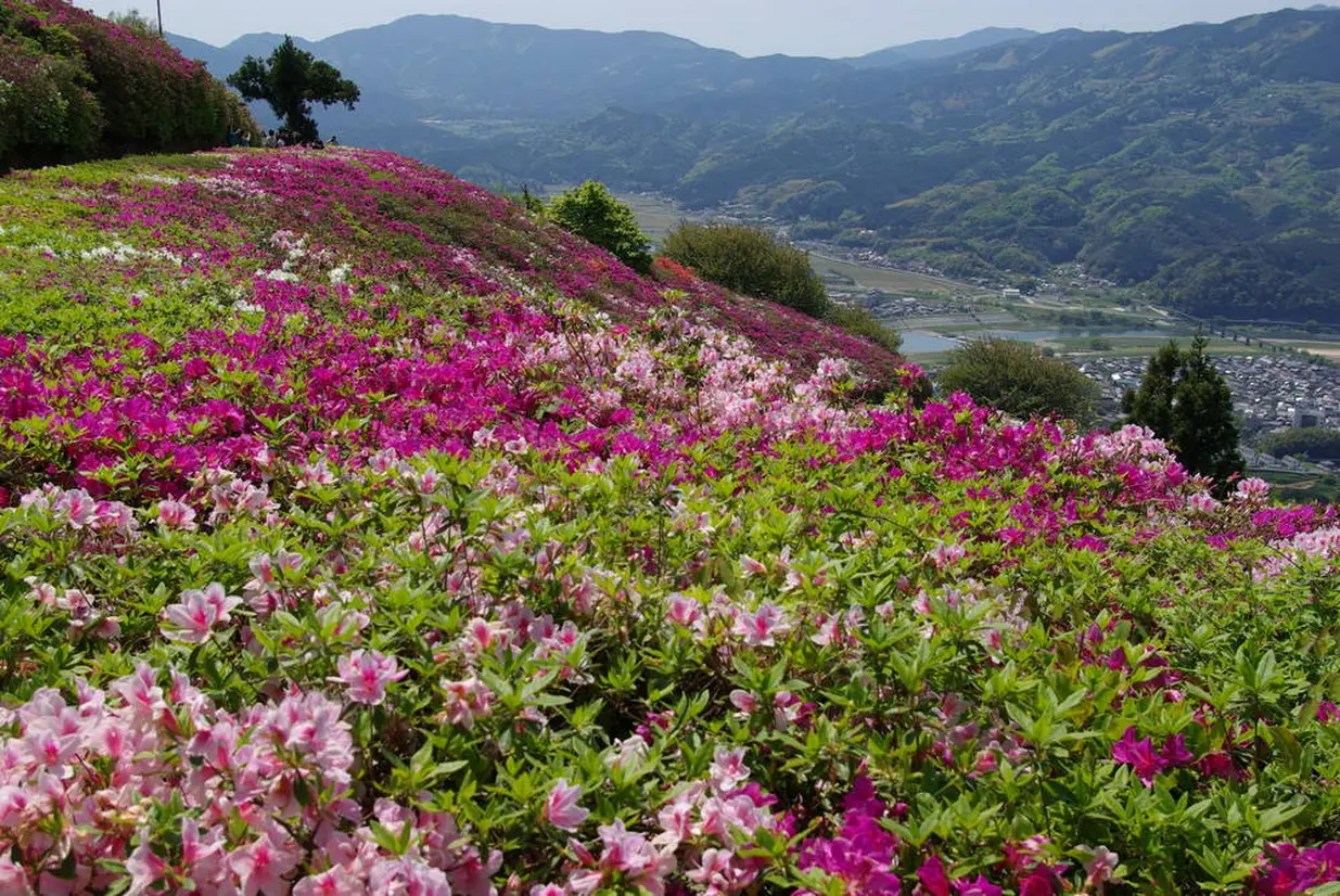 冨士山公園