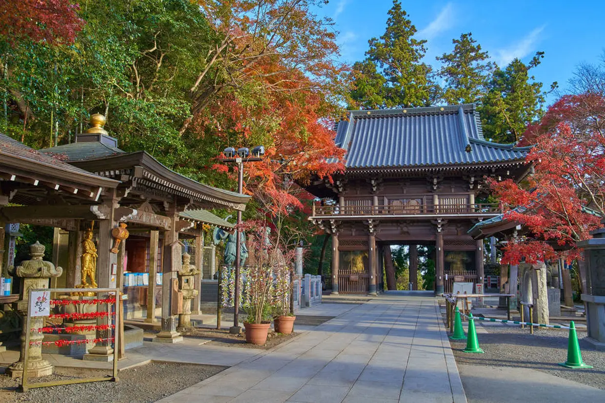 薬王院山門