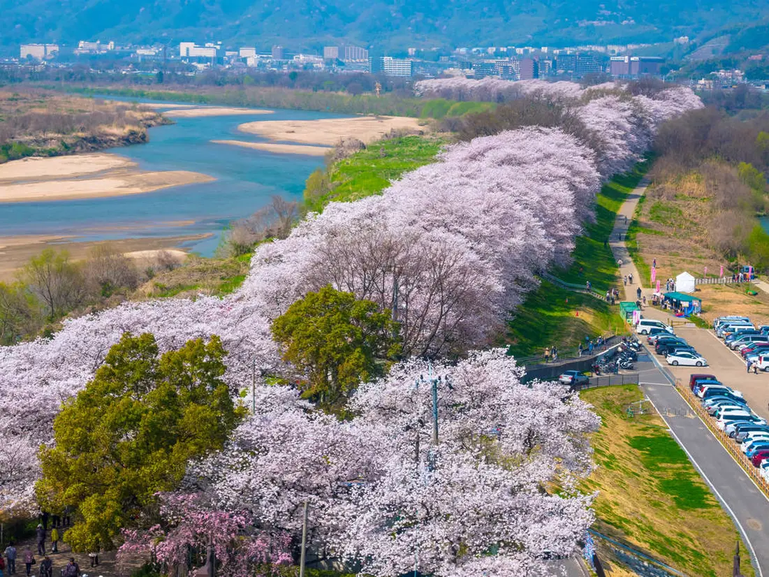 八幡山公園