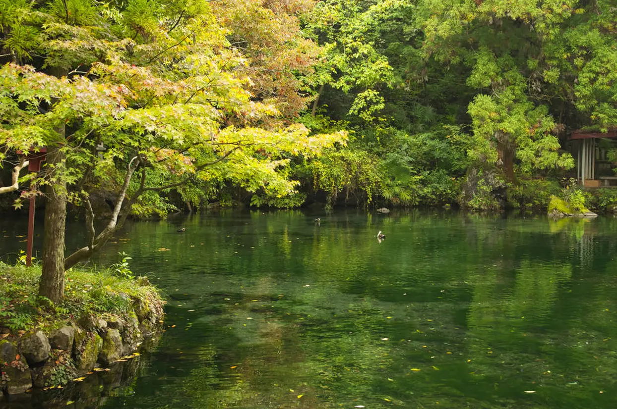 出流原弁天池湧水
