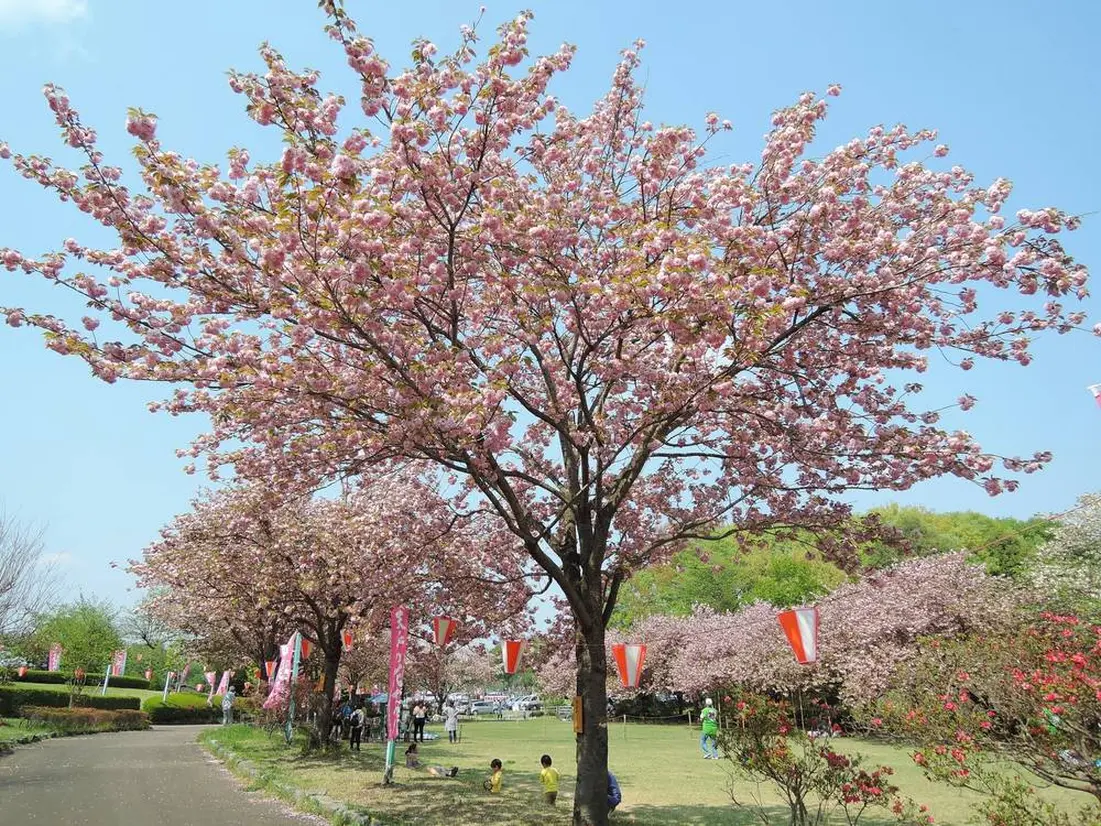 天平の丘公園