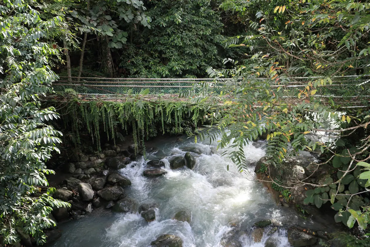 ポーリン温泉付近つり橋