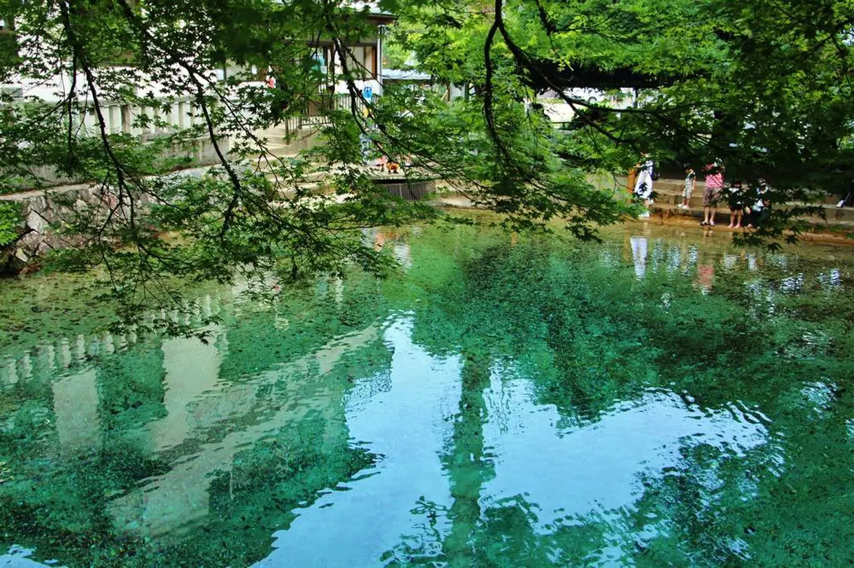別府弁天池