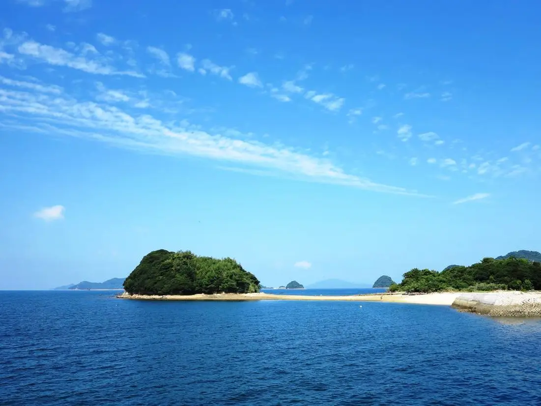 真宮島（しんぐうじま）（周防大島）