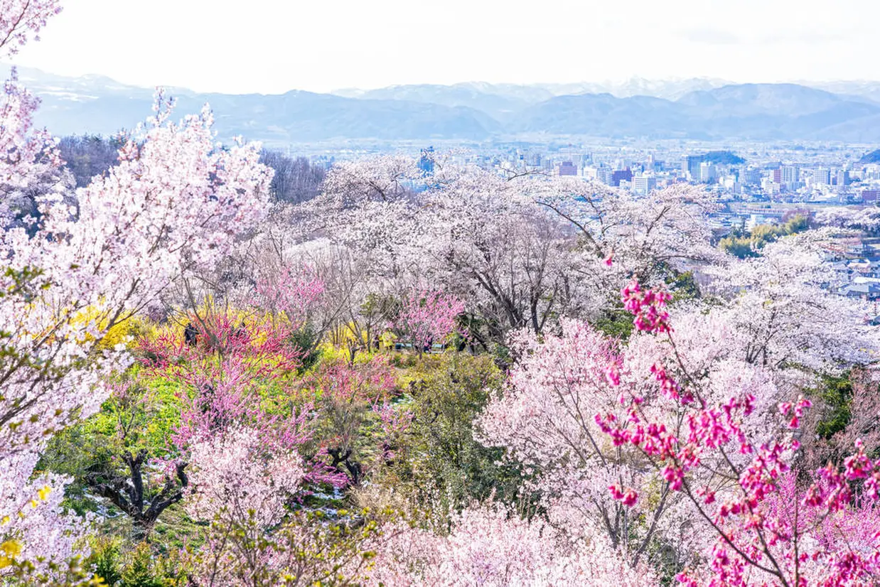 花見山公園