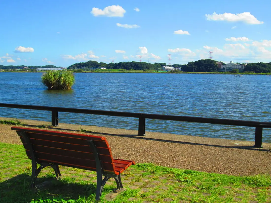 手賀沼公園
