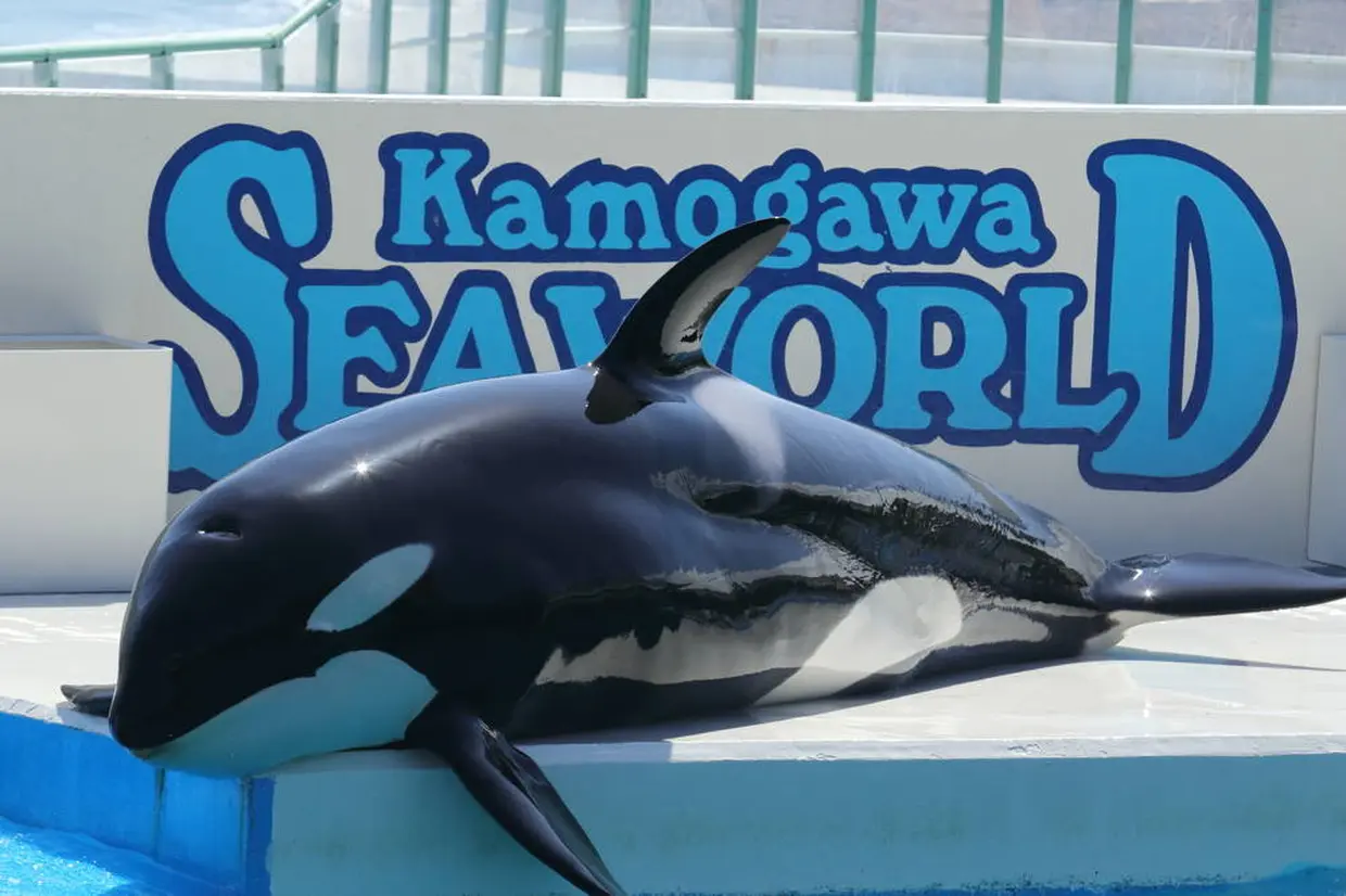 鴨川シーワールド
