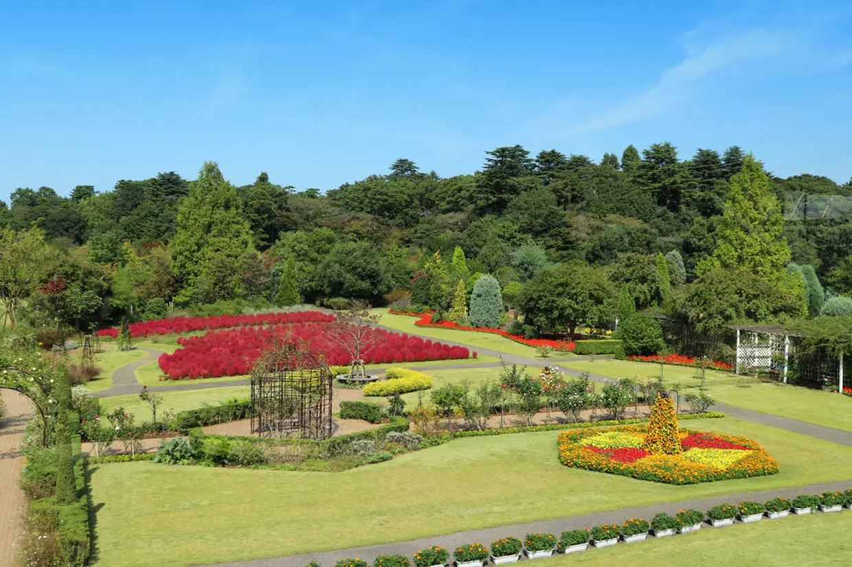 清水公園