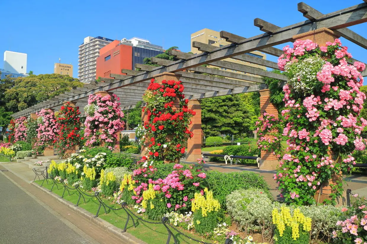 バラ園