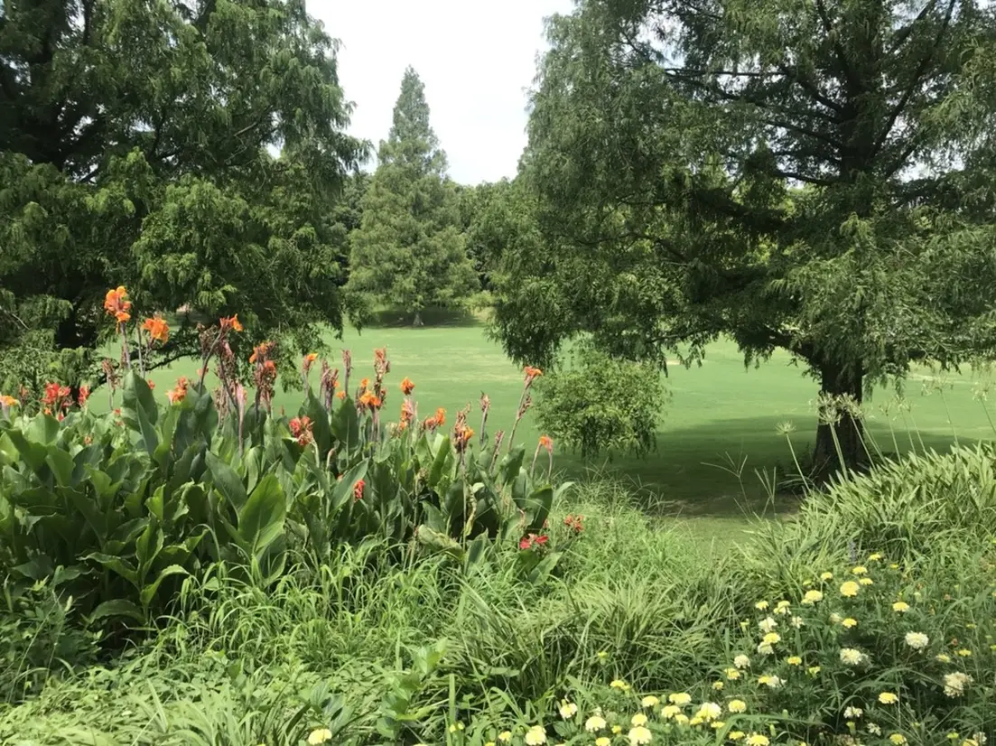 自然文化園