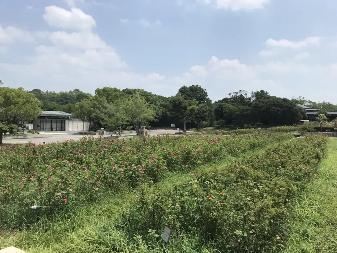 自然文化園