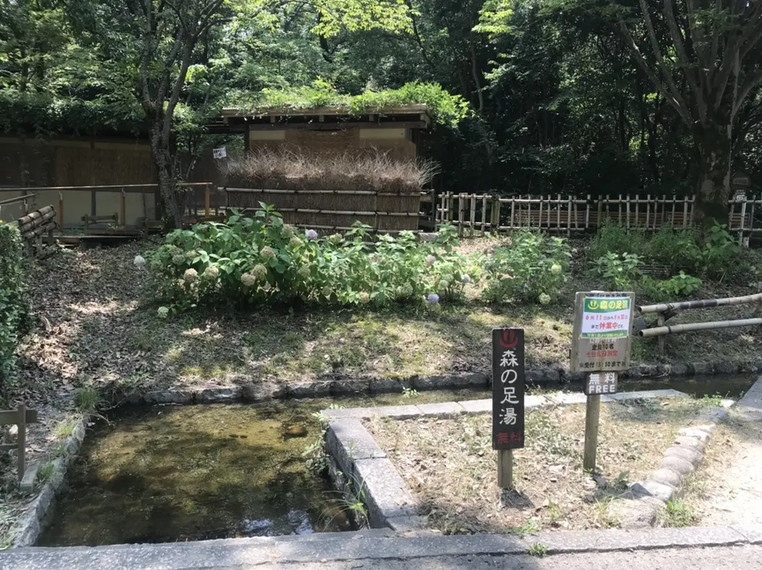 森の足湯