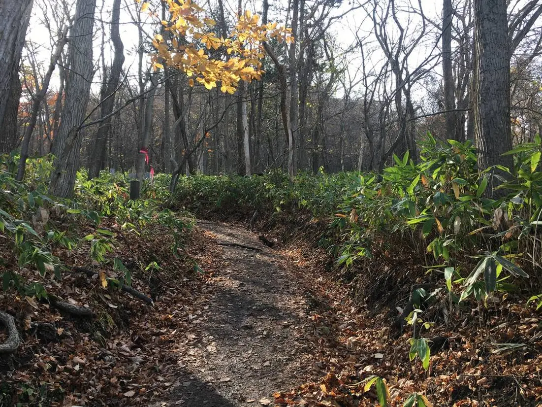 藻岩山登山道