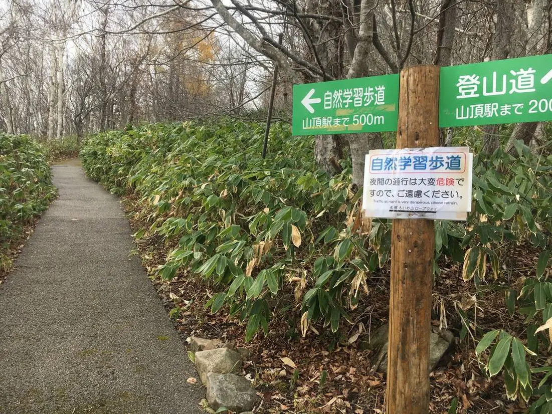 自然学習歩道入口