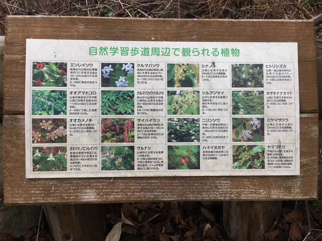 自然学習歩道看板