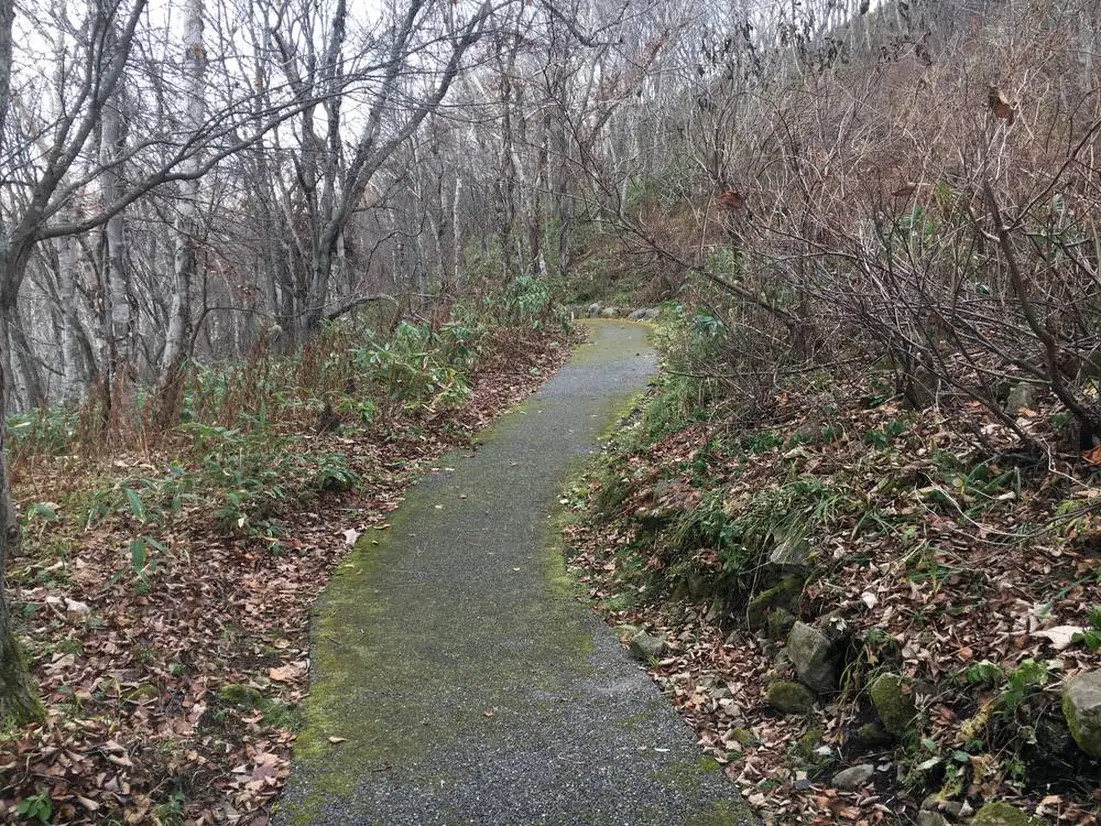 自然学習歩道遊歩道