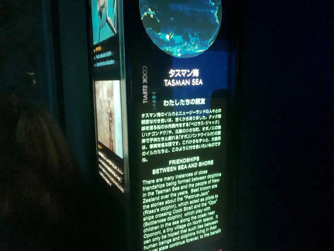 各エリアの水槽には詳しい解説付き
