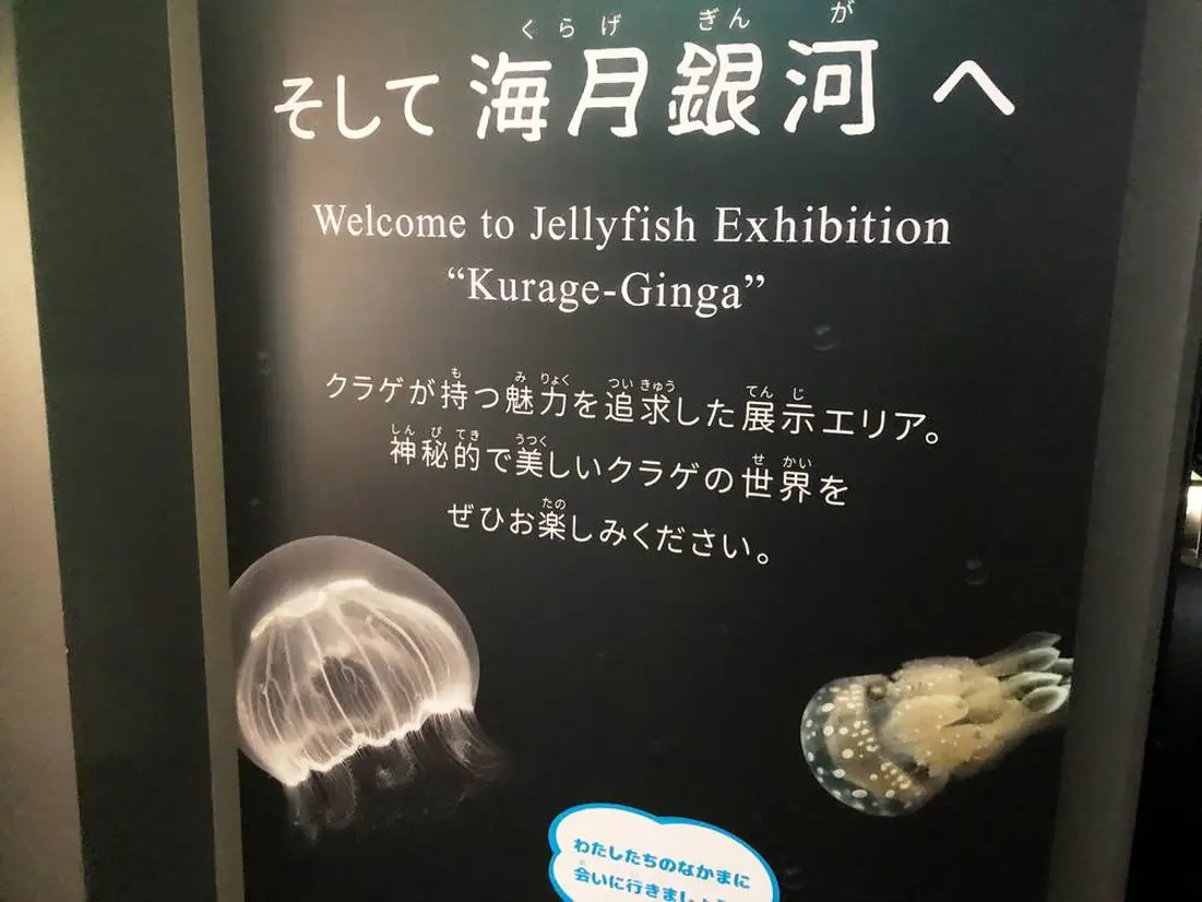 海遊館の新しいスポット海月銀河