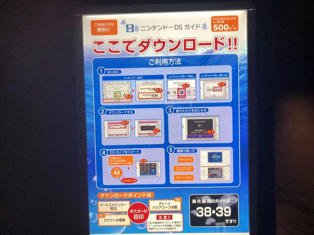 ニンテンドーDSを使ったサービス
