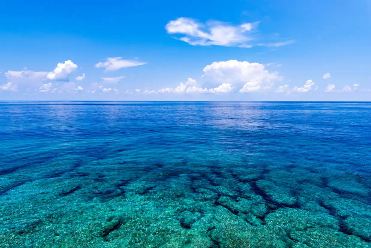 海
