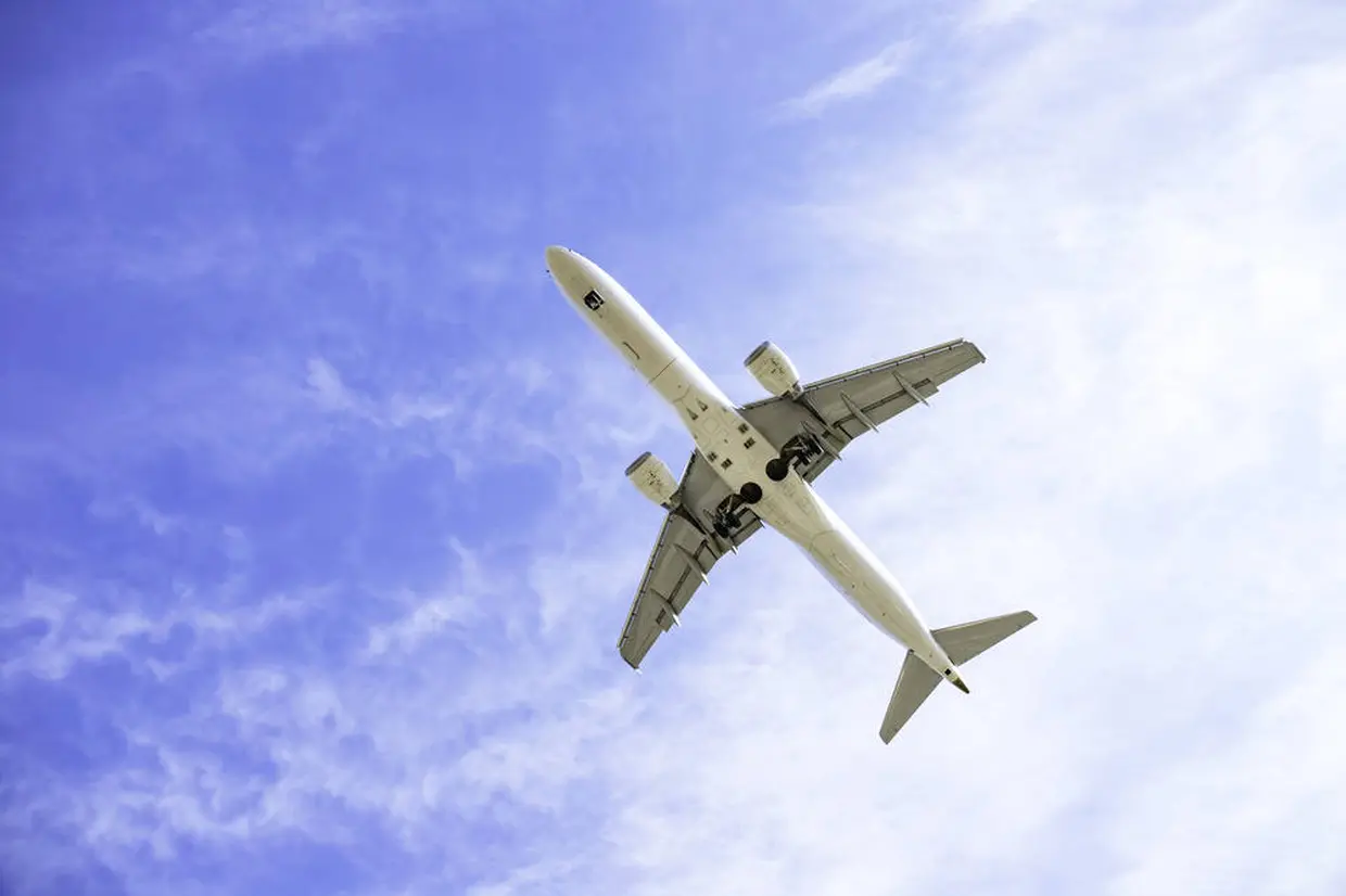 飛行機