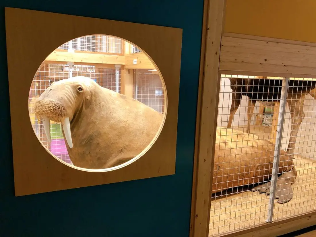 親と子のたんけんひろば　コンパス
