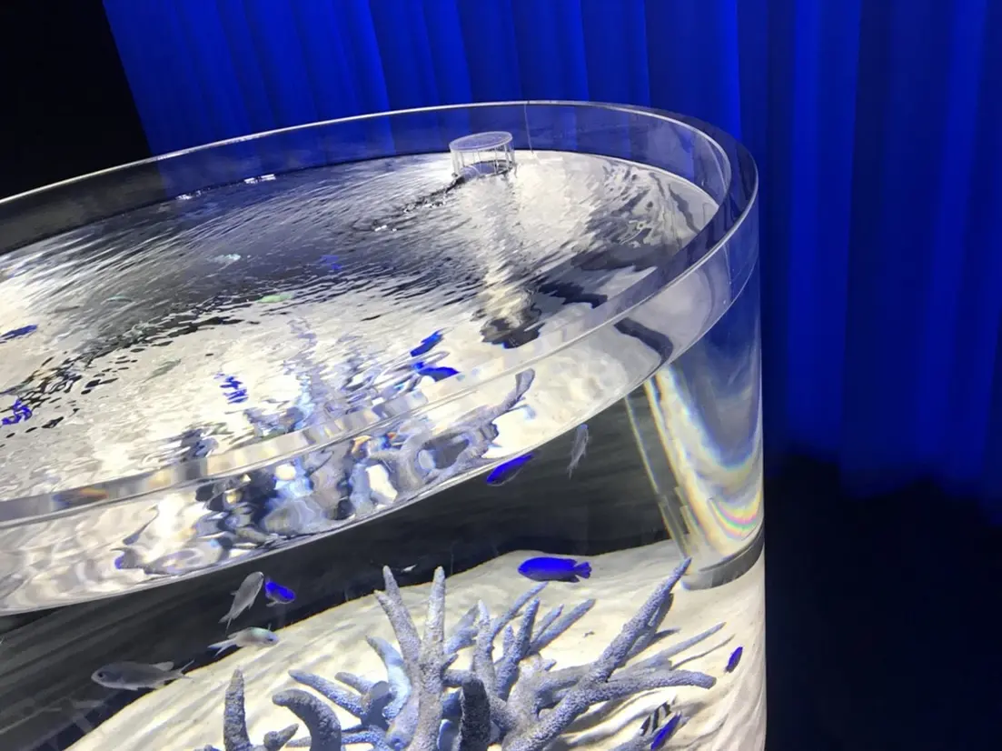いろにふれる　蓋のない水槽