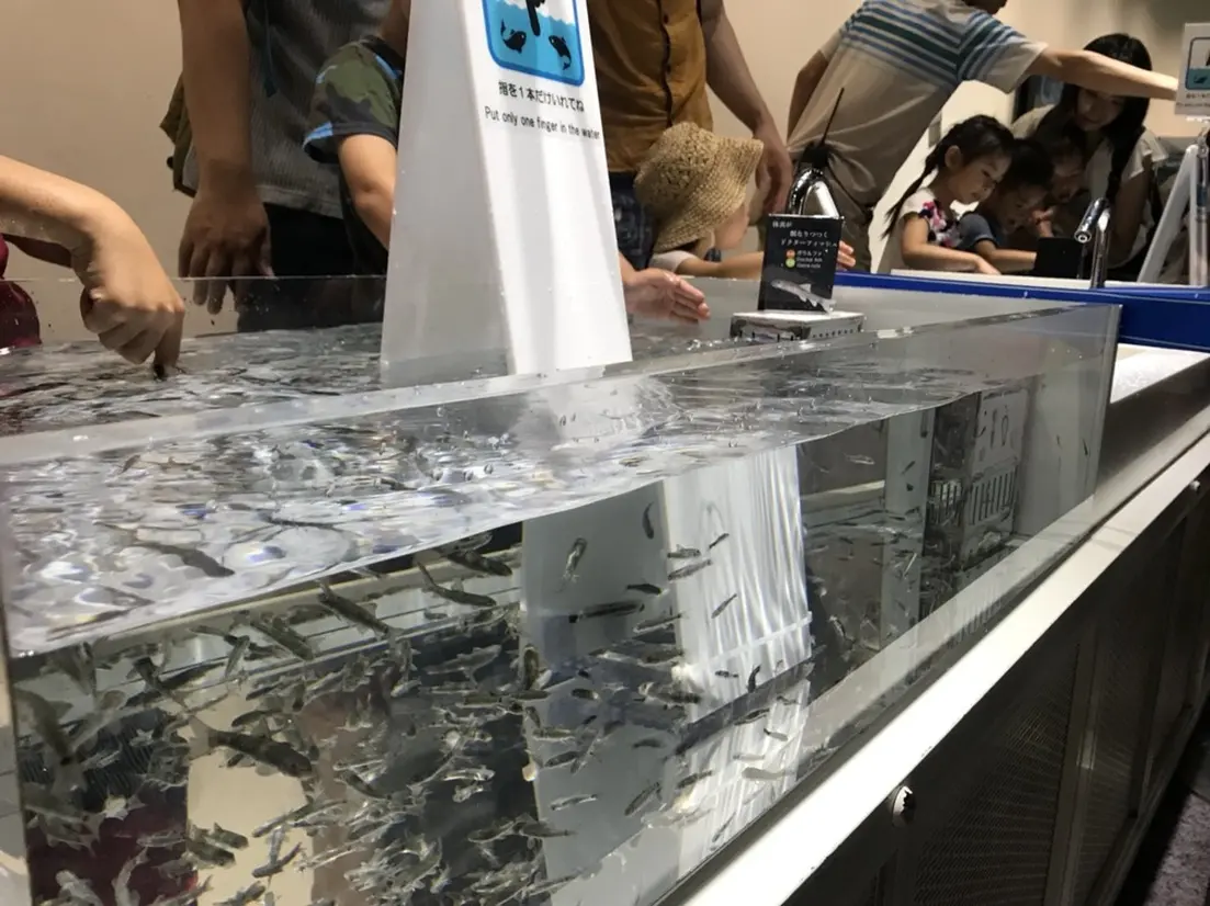 ドクターフィッシュ