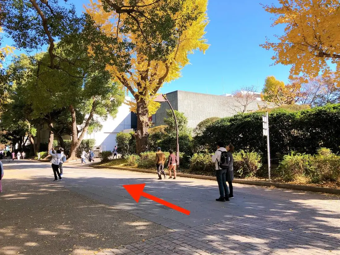 国立西洋美術館左側の道