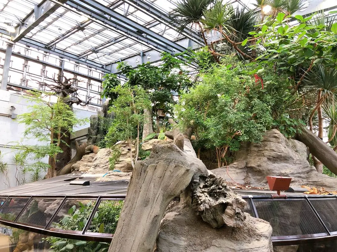 両性爬虫類館