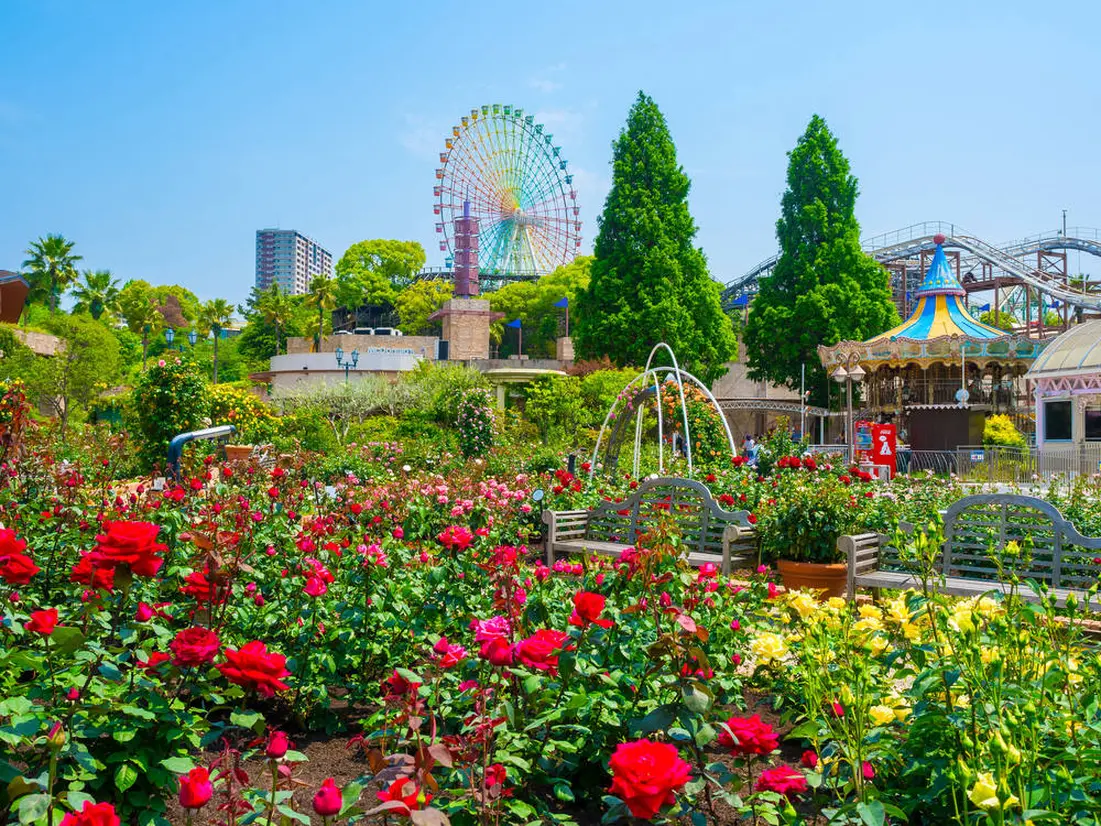 ひらかたパーク春の花